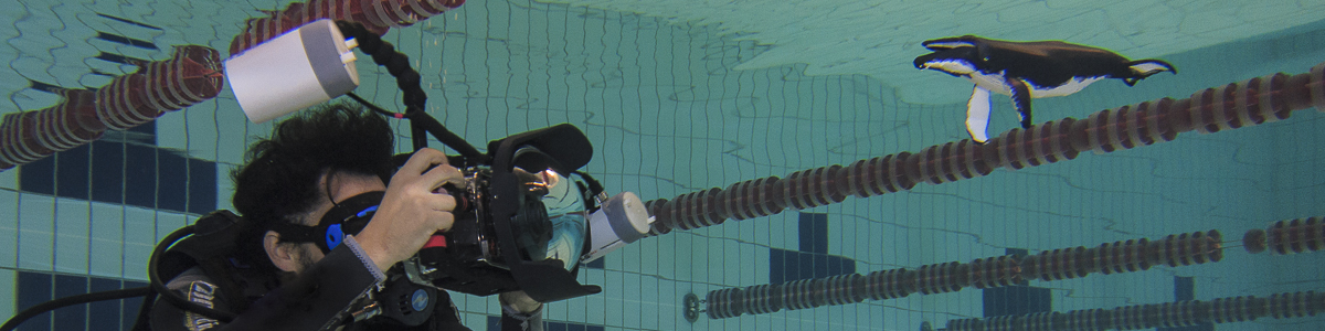 Prática em piscina