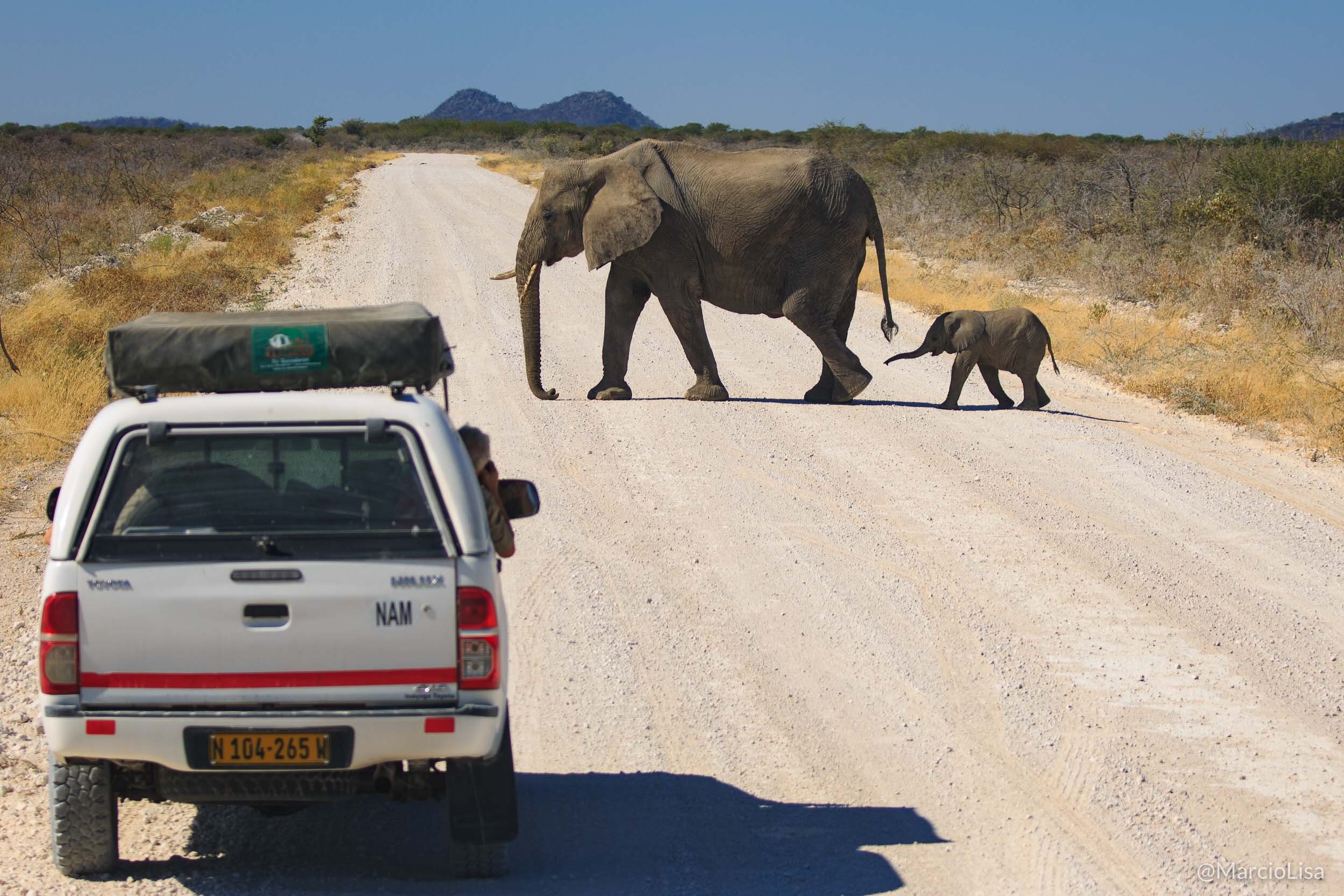 Safari no Etosha National Park, Namíbia