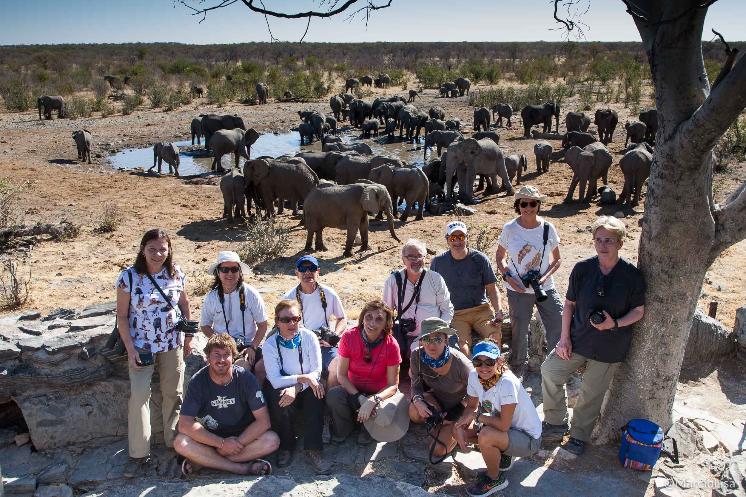 Elefantes no Halali, Etosha National Park na Namibia