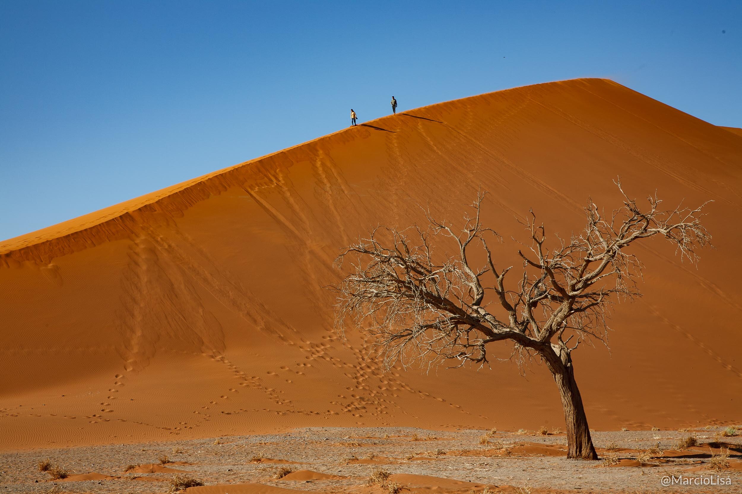 Duna 45 em Sossusvlei, Deserto do Namibe