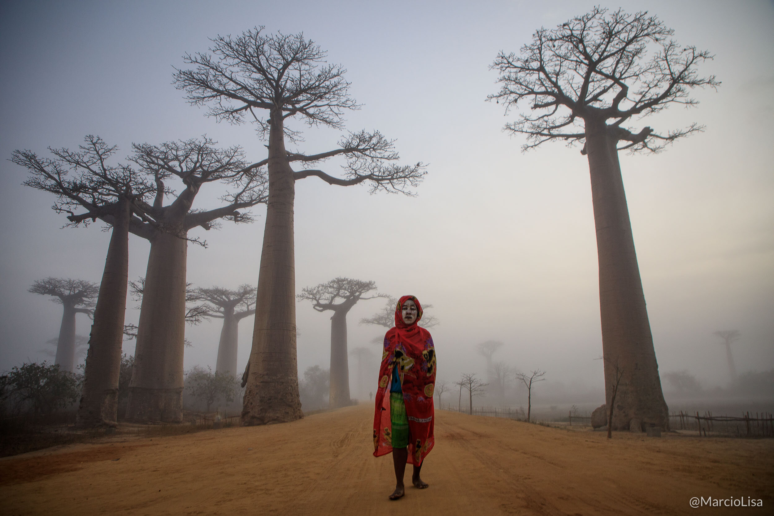 Avenida dos Baobás em Madagascar
