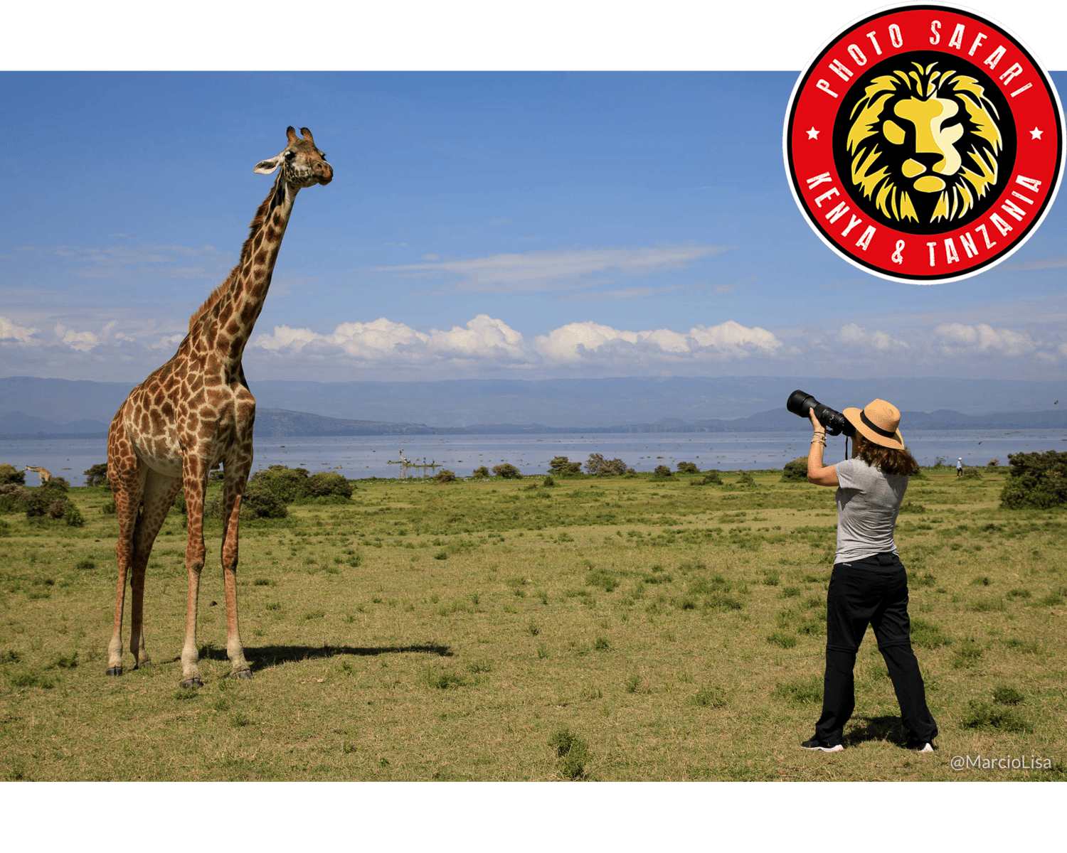 Girafa fotografa durante safari no Quênia