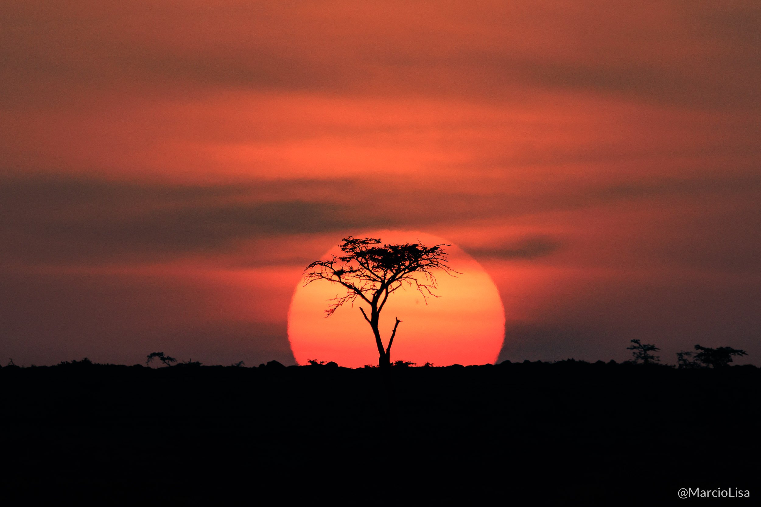 Nascer do sol no Maasai Mara, Quênia
