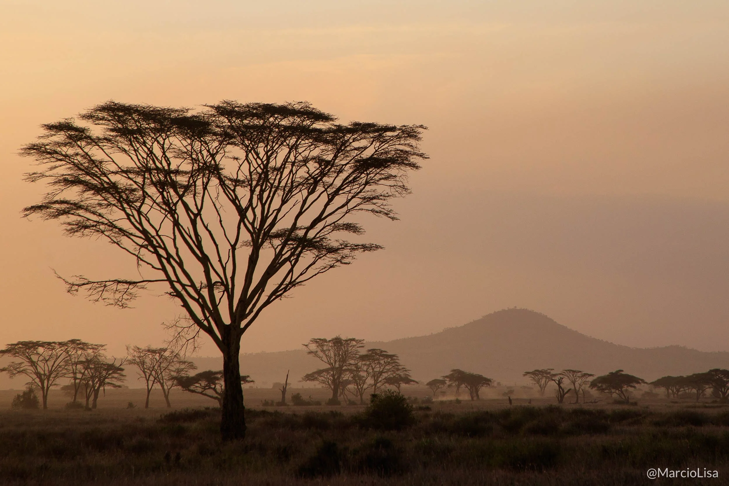 paisagem-serengeti.jpg