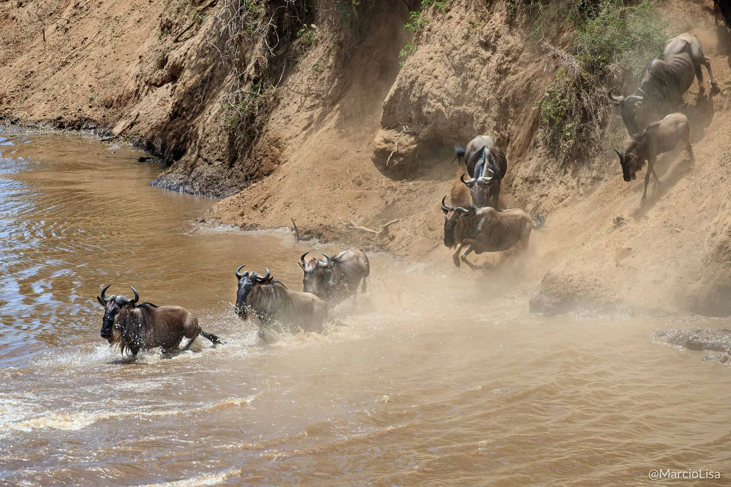 tanzania-grande-migracao-gnus.jpg