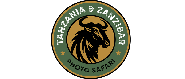 Photo Safari Tanzânia e Zanzibar - Africa