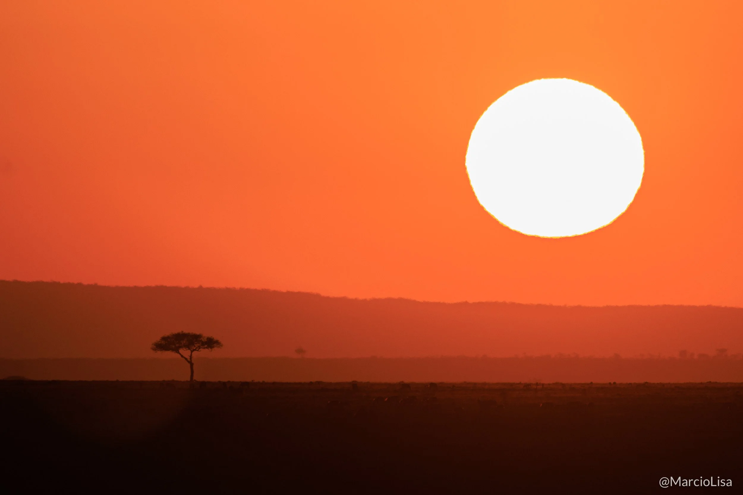 Nascer do sol - Safari na Tanzânia e Quênia.jpg