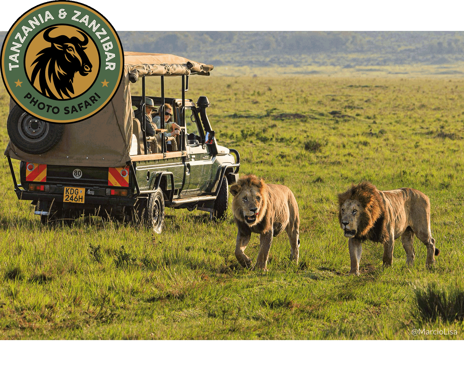 Roteiro de viagem turismo safari na Africa - Tanzania e Zanzibar.png