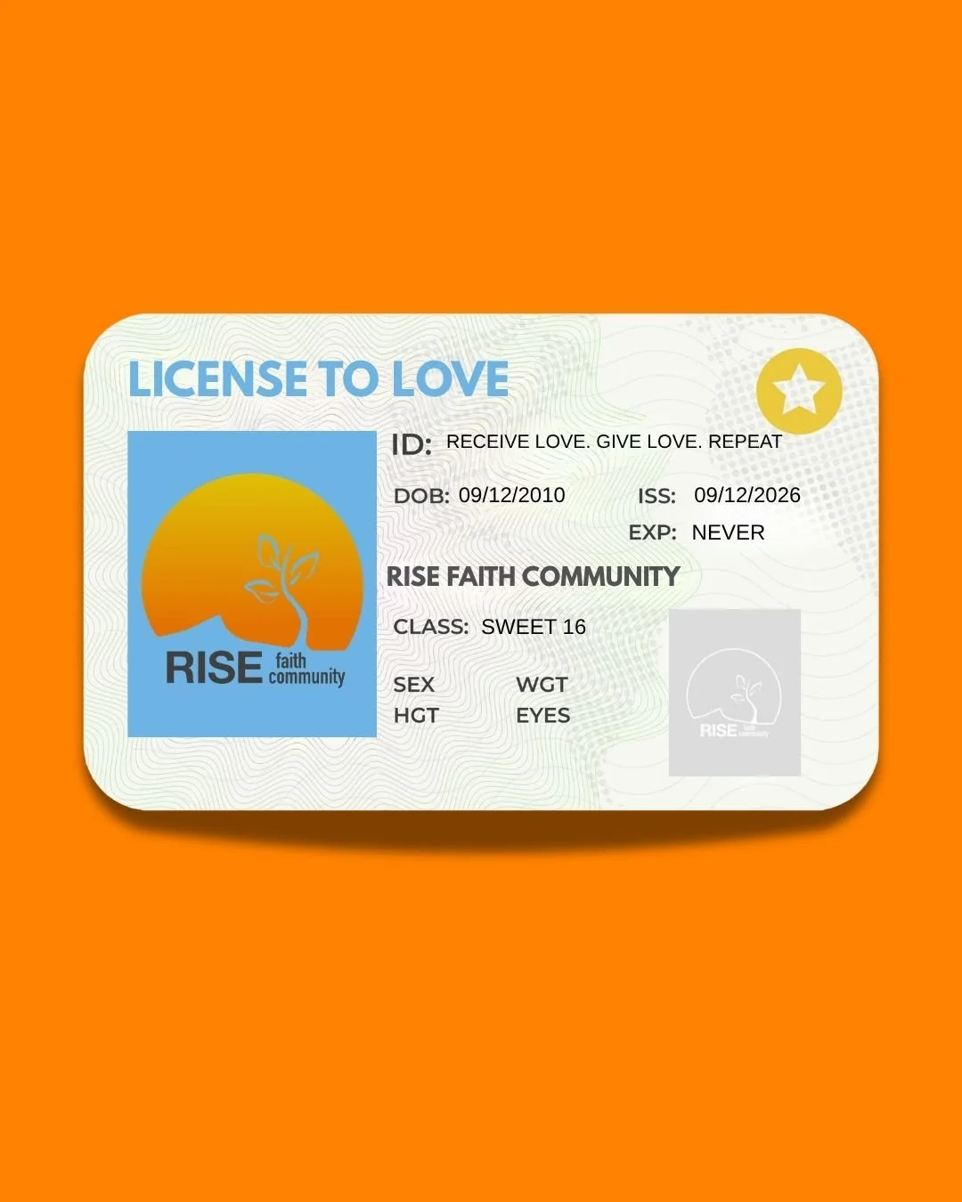 License to love.jpg