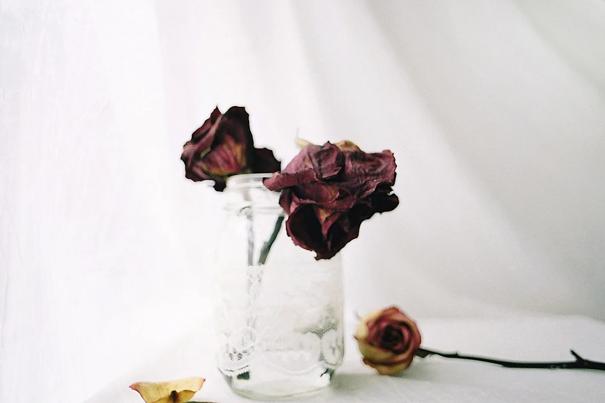 lorettawangphotography_dead+flowers.jpg