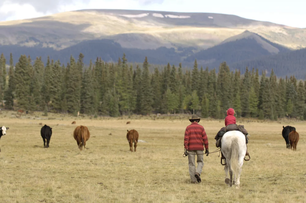 A father and daugher cowboy team