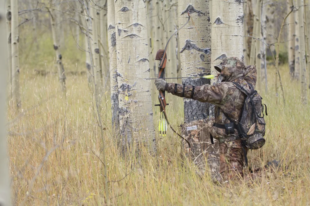 A bowhunter draws his bow in aspens