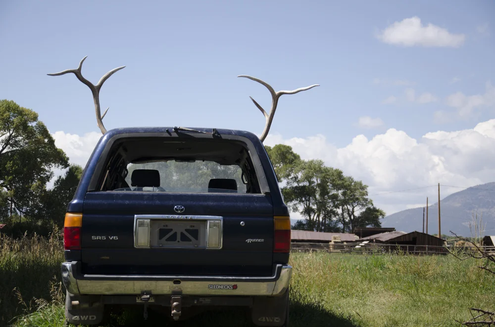 truck with huge antlers