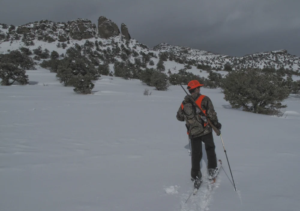 Elk hunting on skis