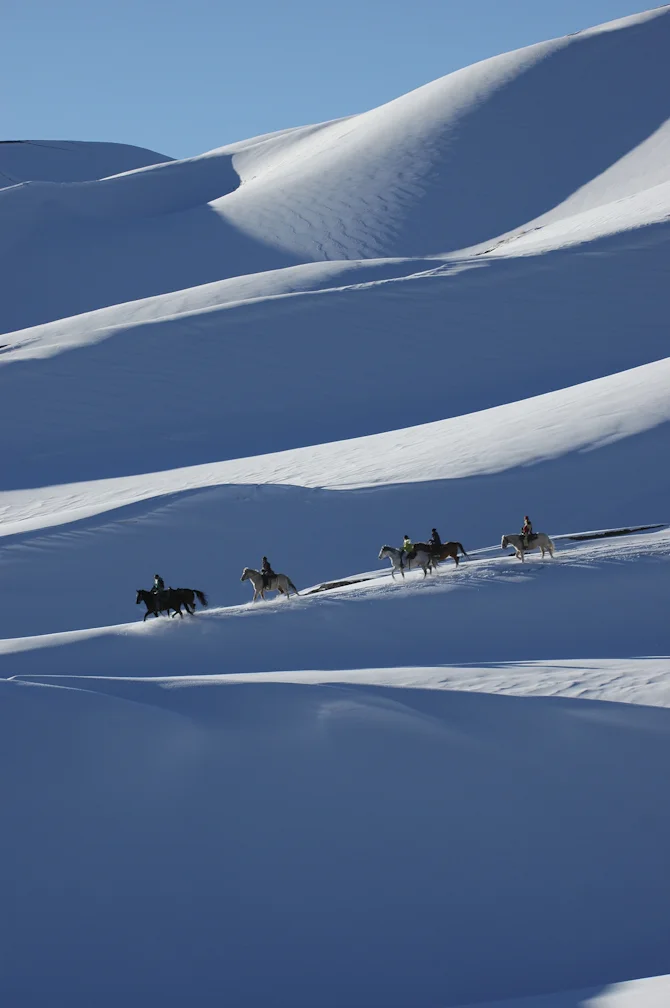 Dream-like horseback riding in Great Sand Dunes National Park. 