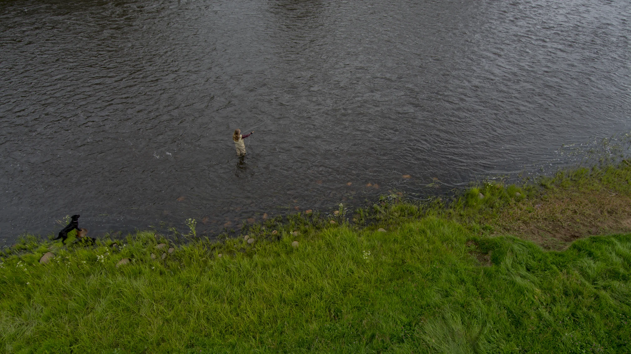 Photo of fishing the black water of the Rio Grande river after the West Fork Complex fire. 