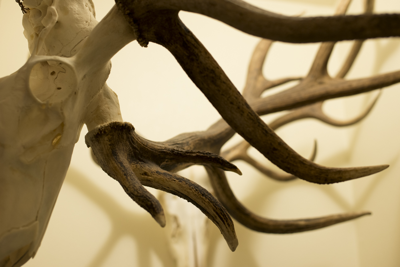 untitled shoot-100.jpg