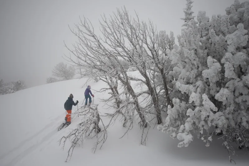 Pick the right terrain and a beautiful day,&nbsp;and kids go nuts over ski touring.