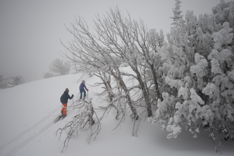Pick the right terrain and a beautiful day, and kids go nuts over ski touring.