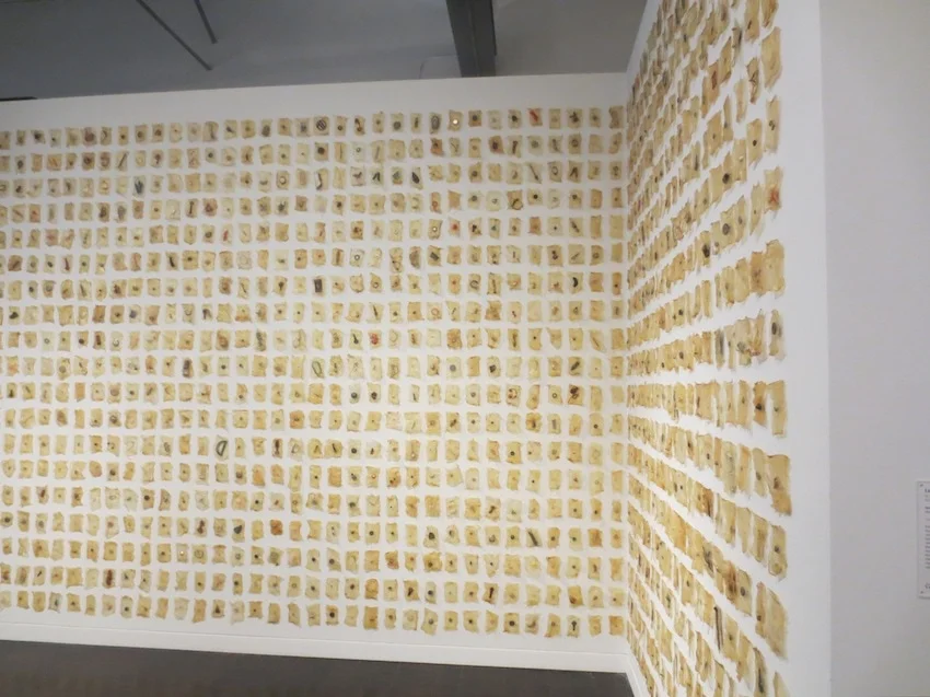 "Inventory" (1997), by Lisa Kokin.