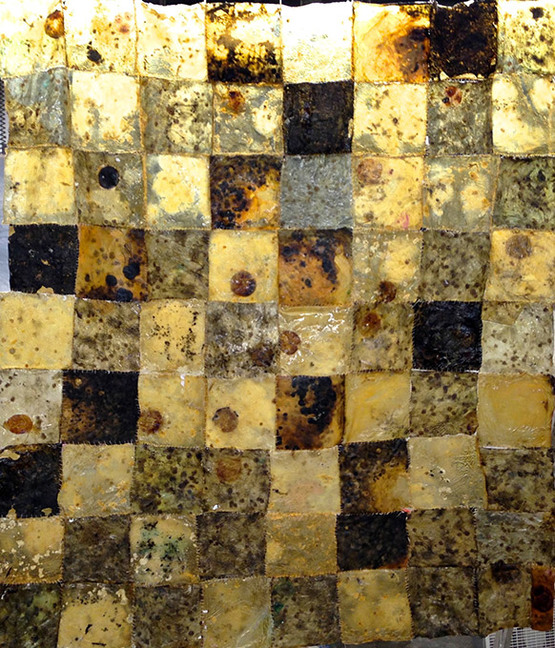 "Fungal Quilt" (2014), by Anna Davidson. Source: http://www.pencegallery.org/Exhibits_2016/01_Jan/artists and http://www.clayburgcreate.com/annadavidson/anna/uncategorized/665//Davidson.html