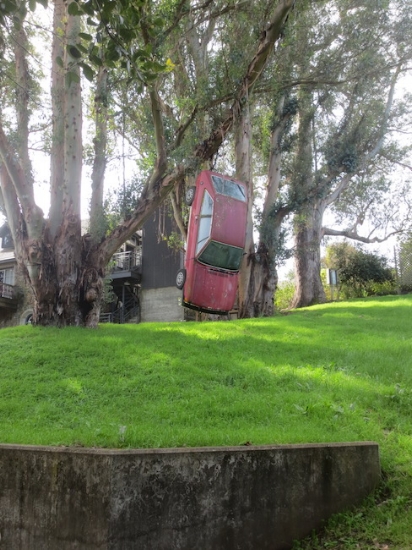 Lynched Volkswagon (1966). Rene di Rosa created this red car installation hanging from the boughs of a eucalyptus tree in back of the residence.