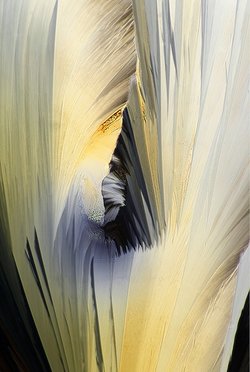 "Mystique," crystalline acetaminophen, by Lee Hendrickson. Source: http://www.photographyofcrystals.com/