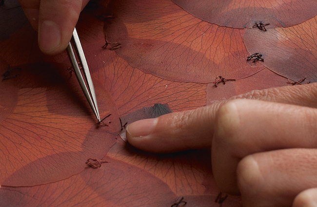 Close-up of suturing rose petals for A Flor de Piel , by Doris Salcedo. Source: http://www3.mcachicago.org/2015/salcedo/works/a_flor_de_piel/