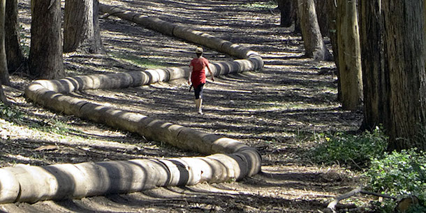 "Wood Line" (2011), by Andy Goldsworthy . Made from eucalyptus branches laid out in a sloping, sinuous curve through a eucalyptus grove in San Francisco's Presidio. Source: http://www.for-site.org/project/goldsworthy-in-the-presidio-wood-line/
