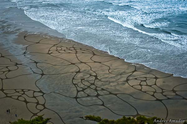 Source: http://www.viralnova.com/beach-art/