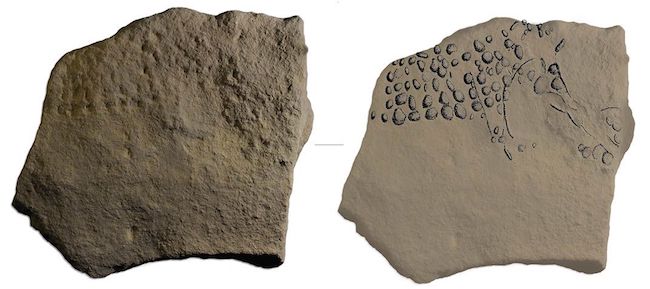 Limestone slab from Abri Cellier depicting a woolly mammoth. Photo and drawing by R. Bourrillon. Source: https://www.smithsonianmag.com/