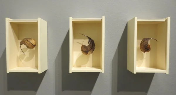 "Feather Boxes" (2017), by Miriam Carpenter. Moderne Gallery, Philadelphia, PA. Fuller Craft Museum, Brockton MA.