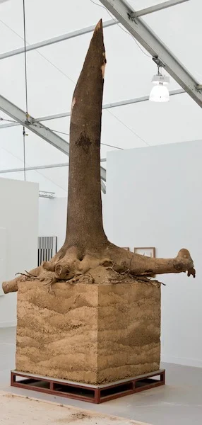 “Corporal Term” (2014), by Kun-Yong Lee. Stripped tree trunk with its roots embedded in a cube of dirt. Gallery Hyundai’s booth, Frieze New York. Photo (cropped) by George Etheredge for The New York Times. Source: https://www.nytimes.com/2018/05/03/arts/design/review-frieze-new-york.html