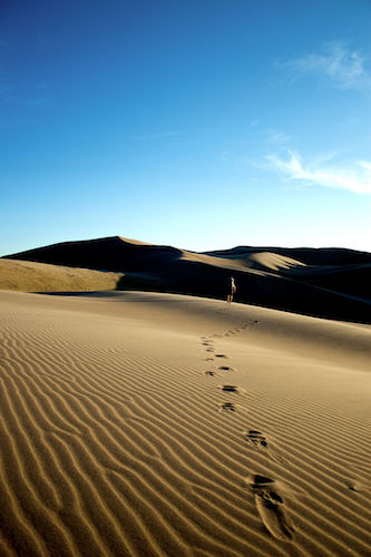 Photo by Zach Dischner. Source: https://commons.wikimedia.org/