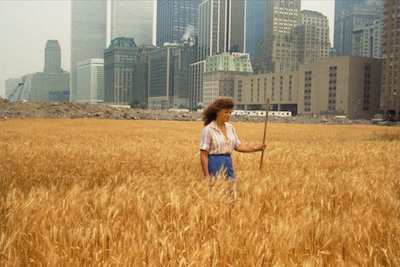 “Wheatfield—a Confrontation: Battery Park Landfill, Downtown Manhattan” (1982), by Agnes Denes. Source: observer.com on widewalls.ch/environmental-artists.