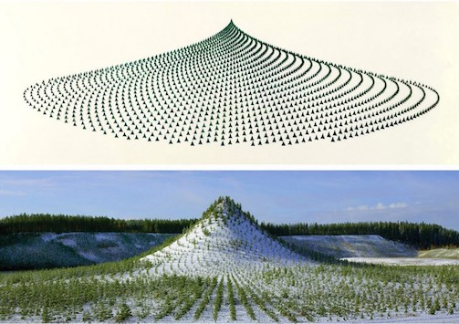 “Tree Mountain” (1992-96), by Agnes Denes. Source: kottke.org/tag/Agnes%20Denes. Website also includes a brief video.