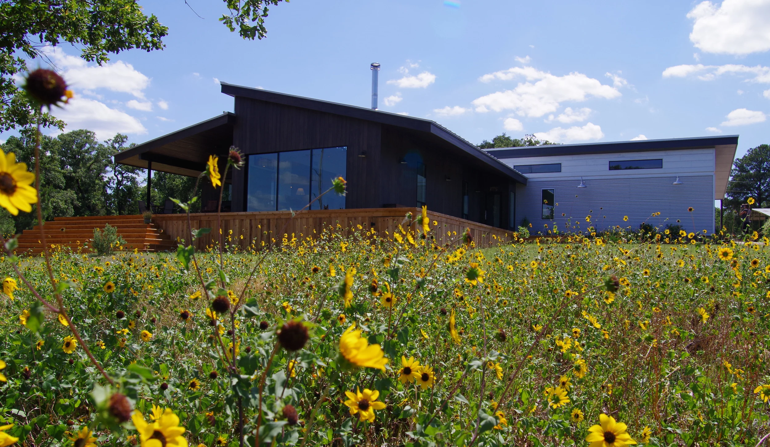 Cole Residence Website Layout19.jpg