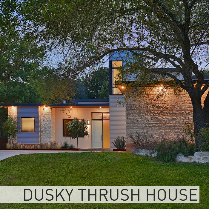 Matt Fajkus MF Architecture Dusky Thrush House-2.jpg