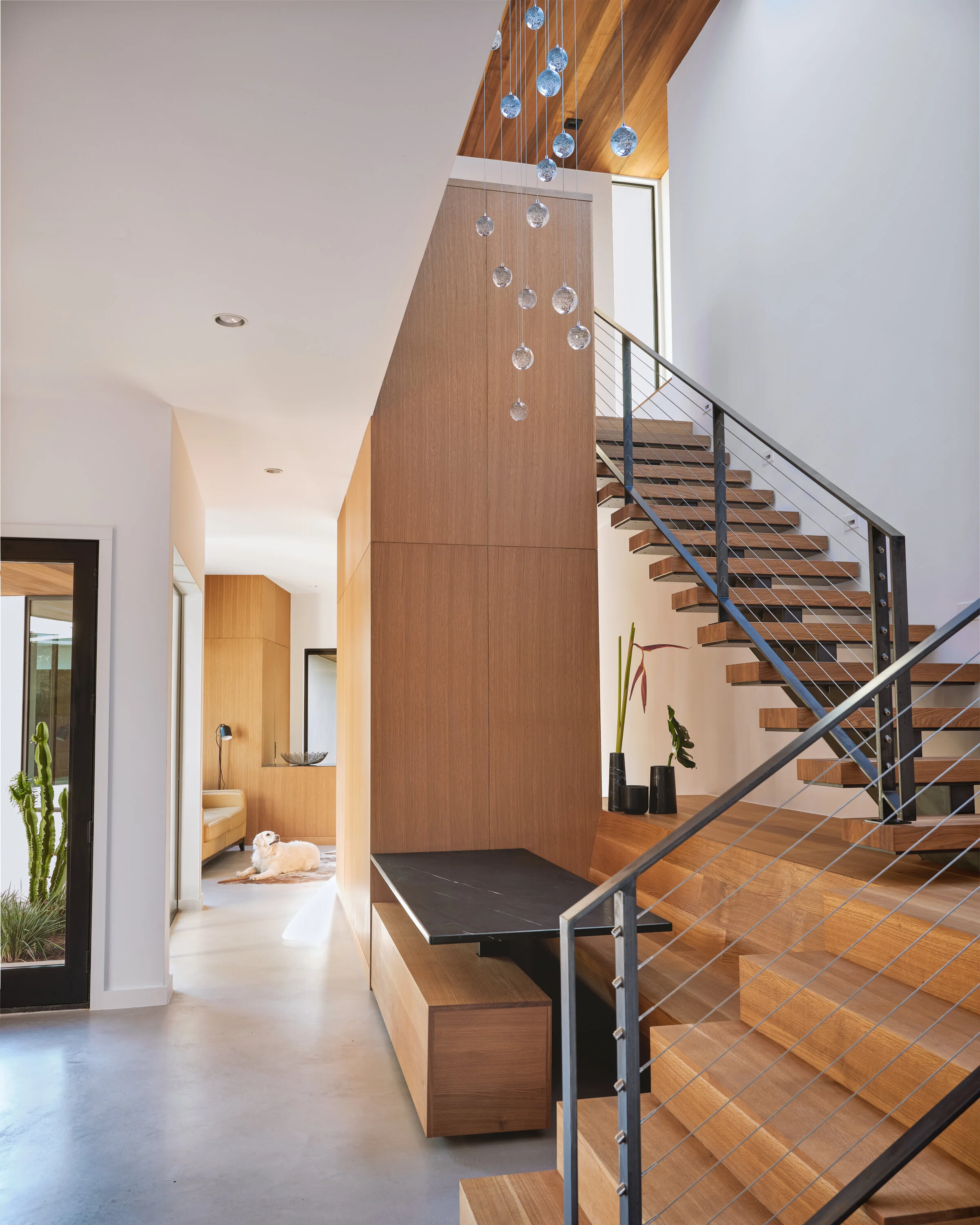 4 Ames House by Matt Fajkus Architecture photo by Leonid Furmansky.jpg