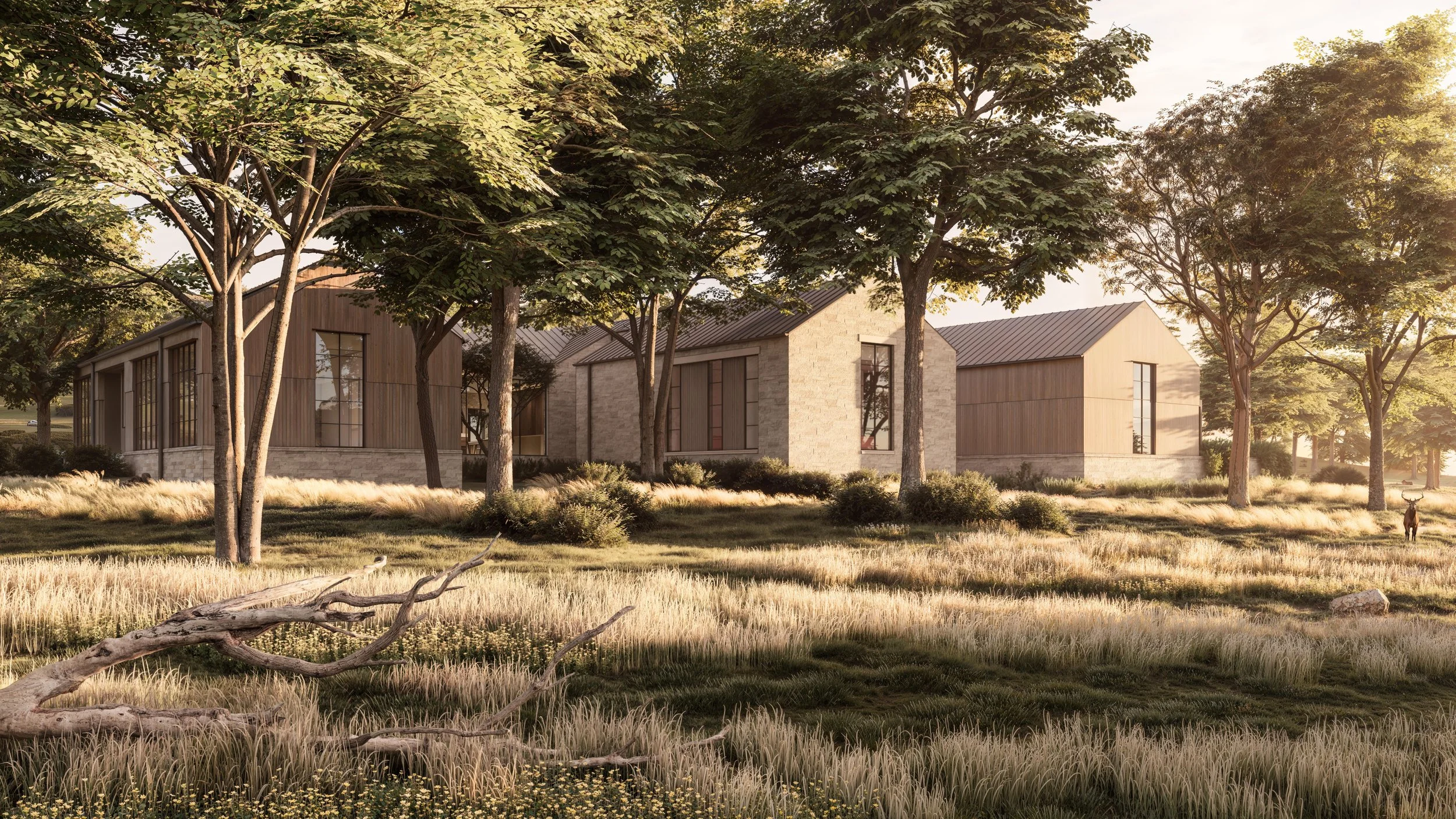 Spicewood_Residence_by_Matt_Fajkus_Architecture (4).jpg