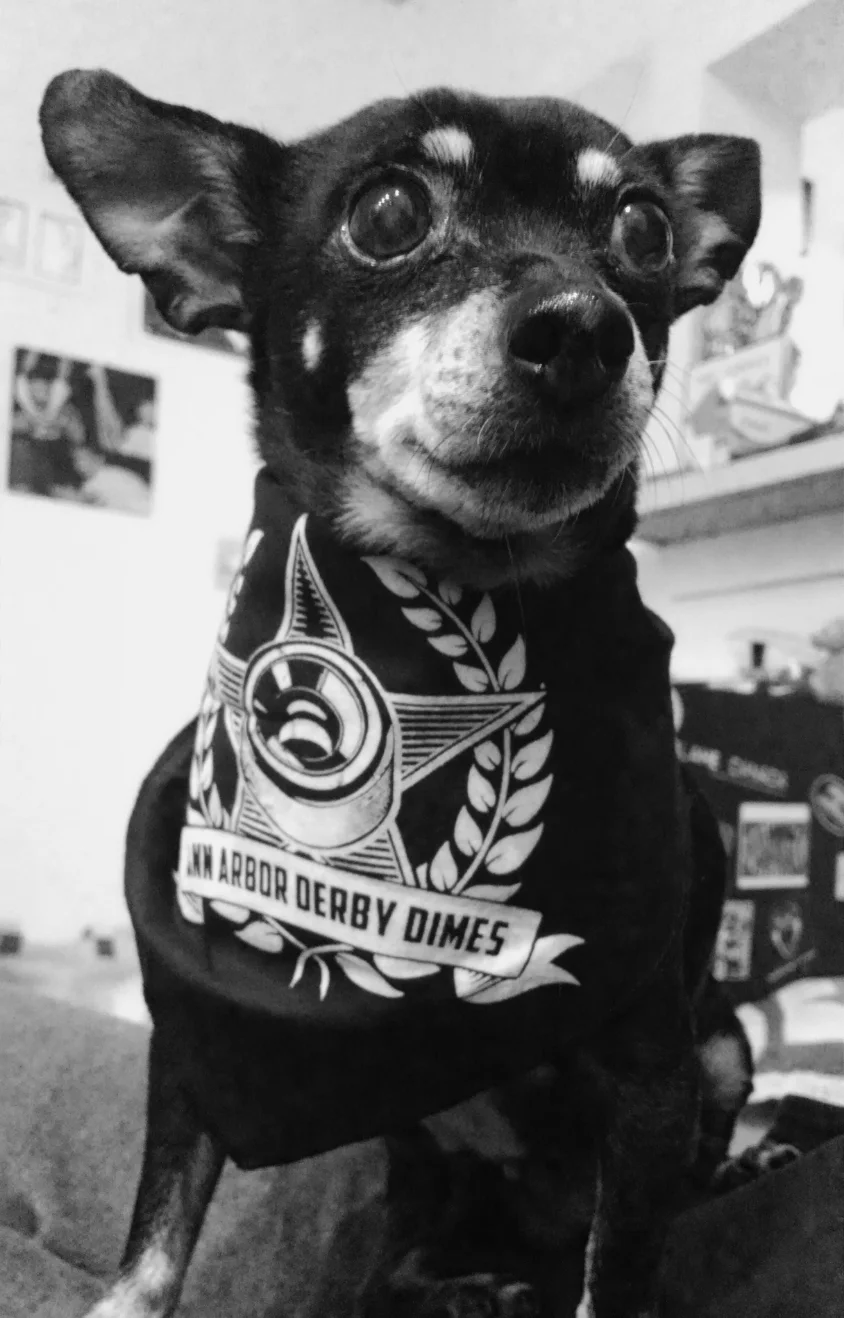 Bandana $5