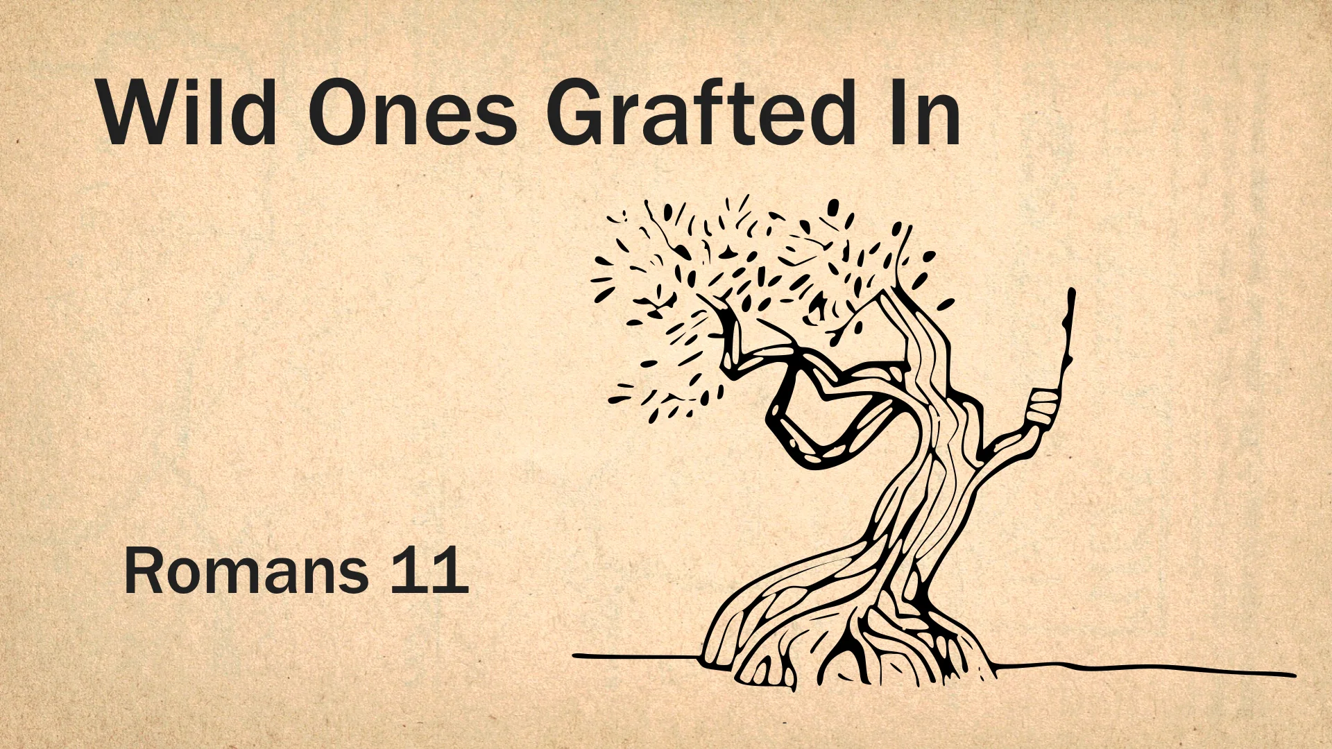 Romans 11 - Wild Ones Grafted In WIDE.001.jpeg