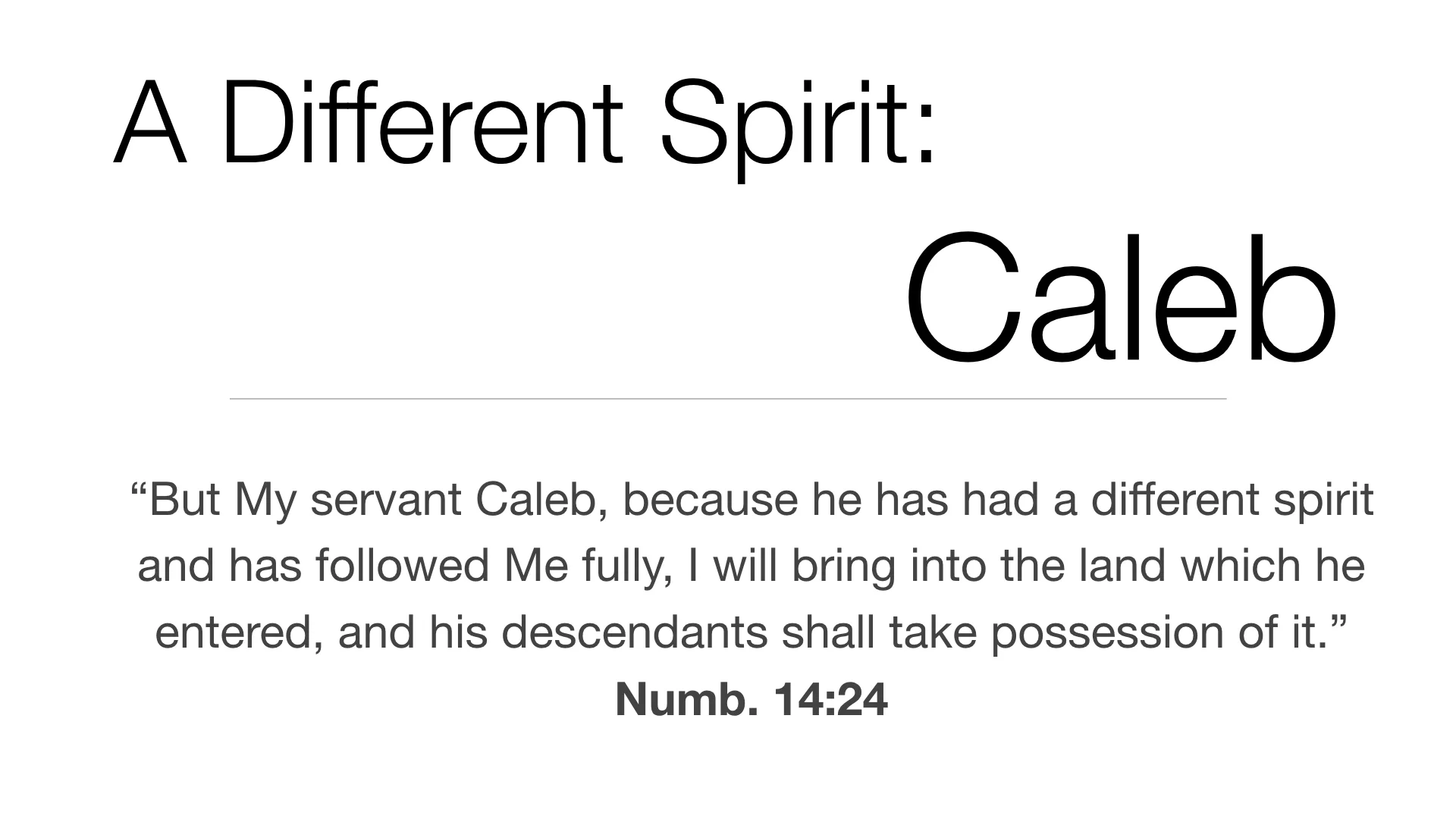 Caleb, A Different Spirit 2 WIDE.001.jpeg