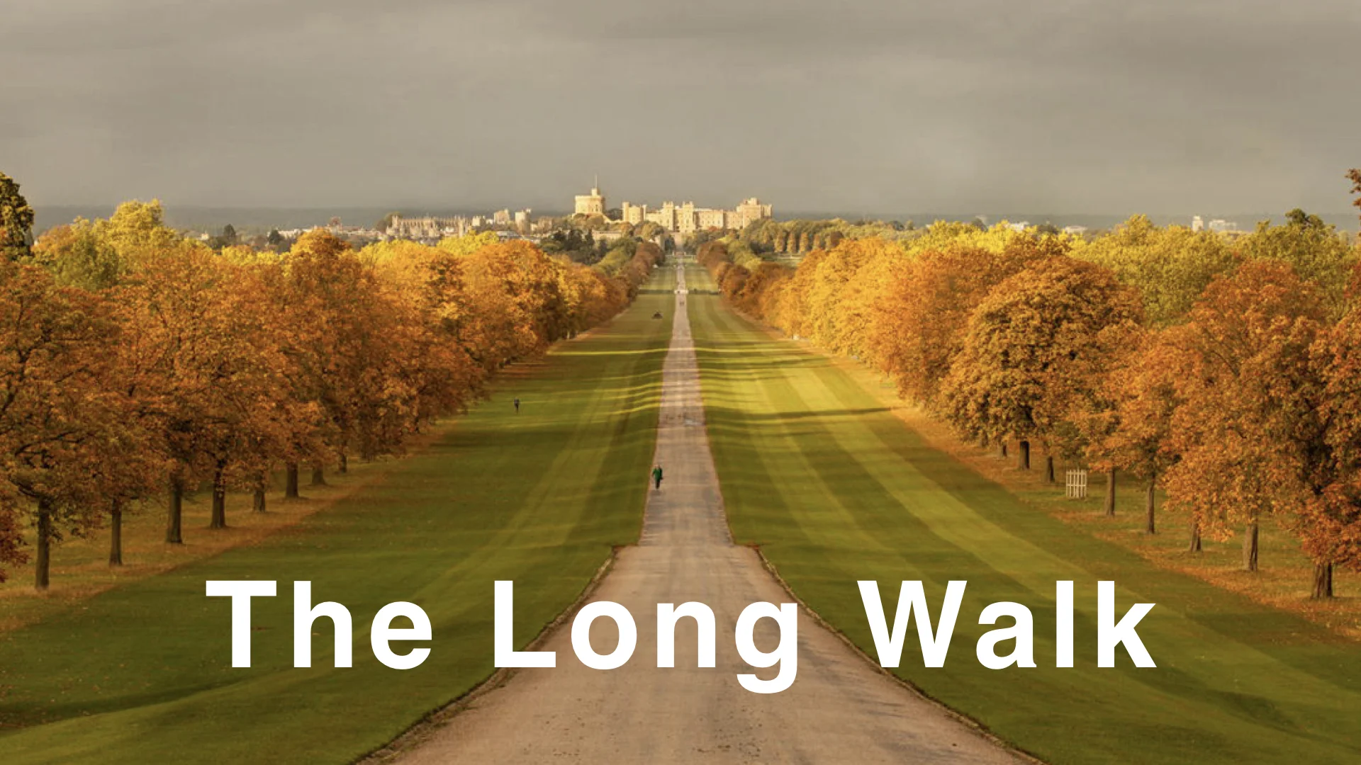 The Long Walk WIDE.001.jpeg