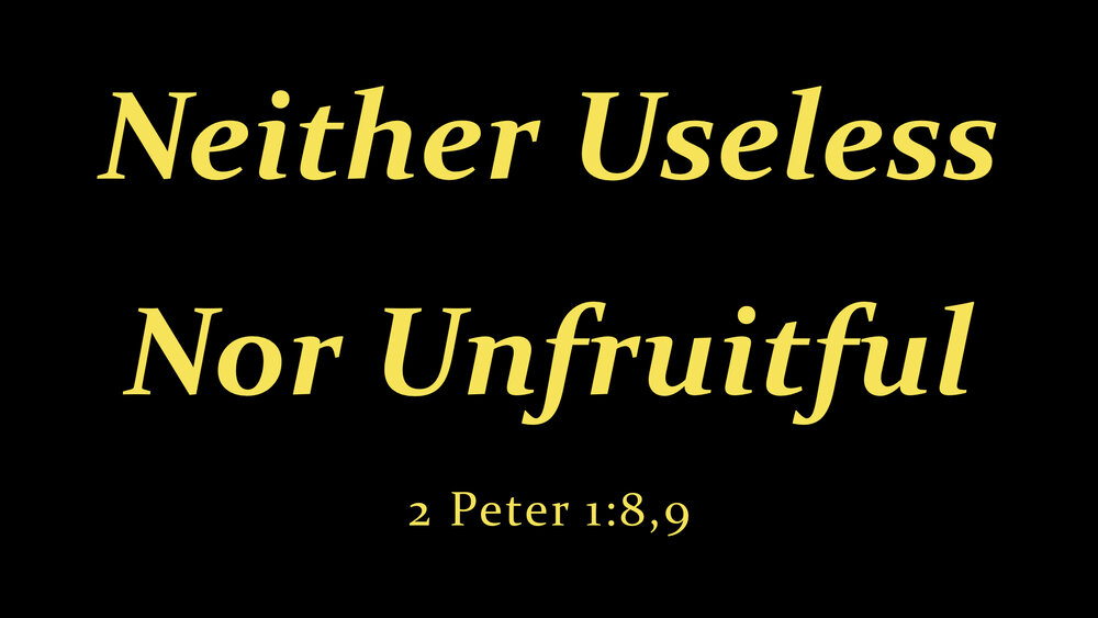 2 Peter 1;8,9 Neither Useless Nor Unfruitful.jpeg