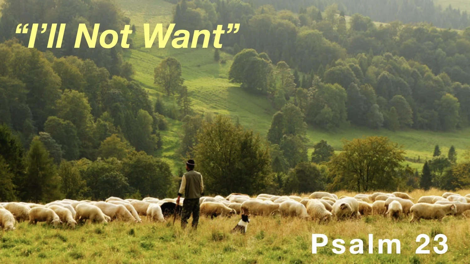 Psalm 23 - I Shall Not Want
