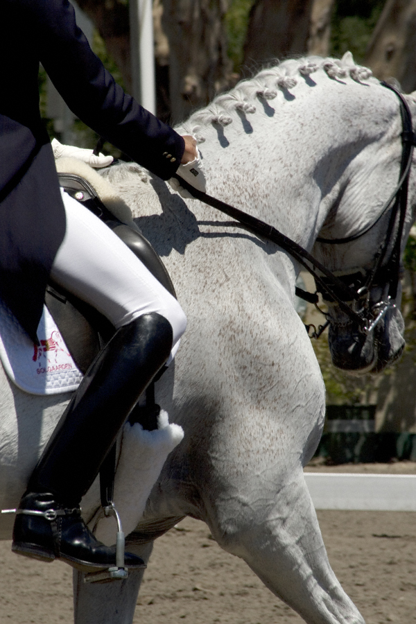 flintridge dressage 2010.jpg