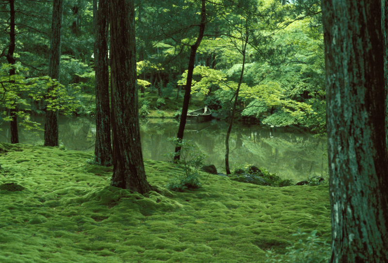 moss boat.jpg