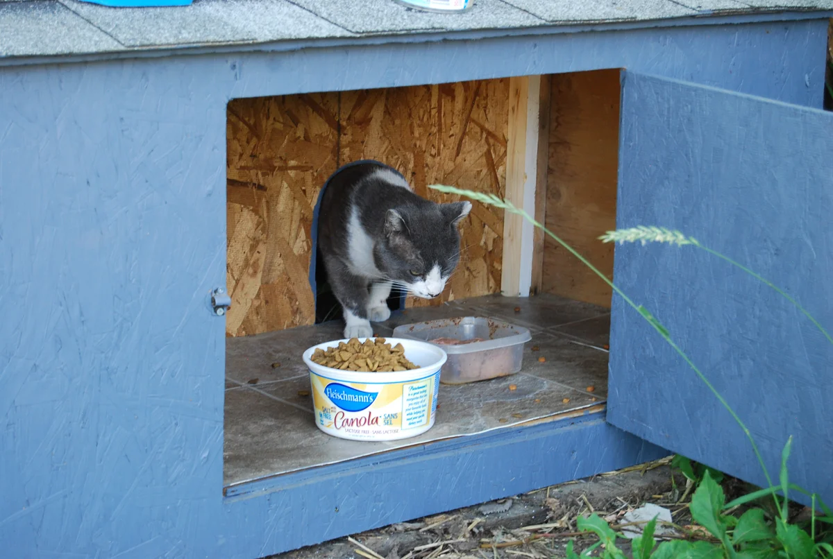 Feral Cat Shelters — Regina Cat Rescue