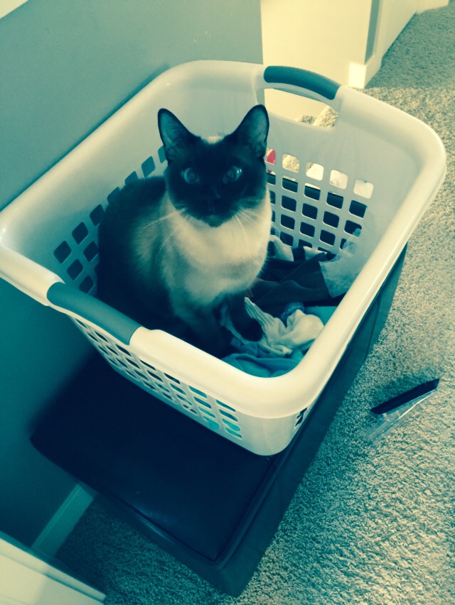Spock 2009 - 2017